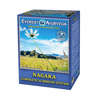 Ayurvedic cleansing herbal mixture Nagara, 100g, deacidify, intensify excretion of metabolic products, cleanse, with high uric acid